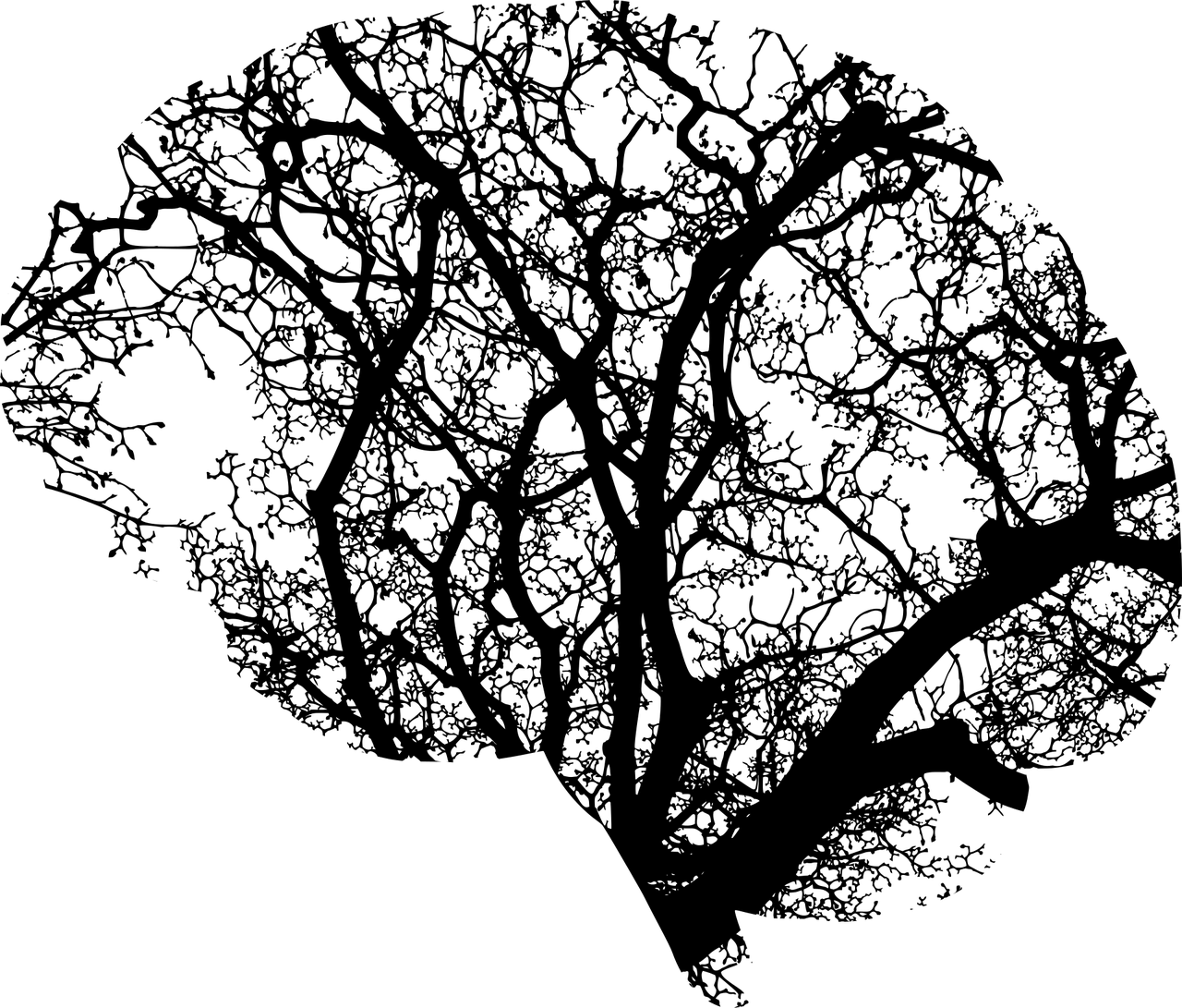 aexia avaluos comerciales, avaluos barranquilla, avaluo inventario, predios, bienes